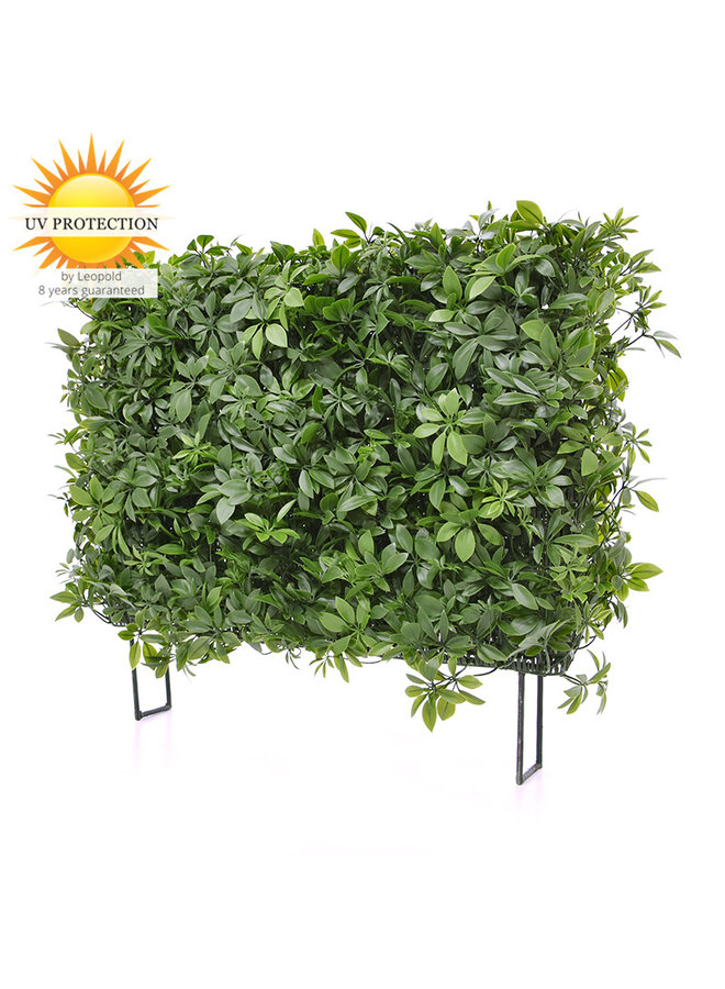 Artificial Outdoor Ivy Hedge On Frame Uv Protected