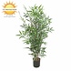 Artificial outdoor Bamboo plant 90 cm UV-protected Artificial outdoor Bamboo plant 90 cm UV-protected