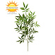 Artificial outdoor Bamboo branch 65 cm UV protected Artificial outdoor Bamboo branch 65 cm UV protected