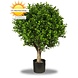 Outdoor Artificial Boxwood 40 cm Ball UV protected Outdoor Artificial Boxwood 40 cm Ball UV protected