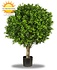 Artificial Boxwood ball 50 cm UV Artificial Boxwood ball 50 cm UV