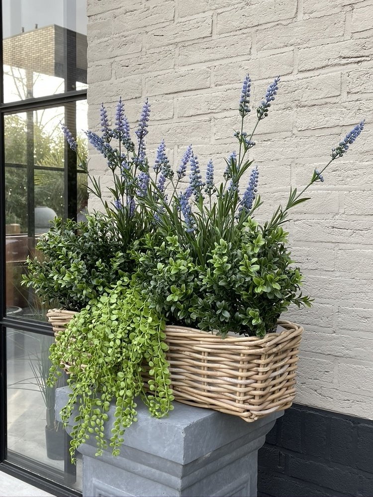 Outdoor Artificial Dischidia Nummularia hanging plant 40 cm UV