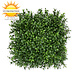 Kunsthaag buxus mat x300 UV Kunsthaag buxus mat x300 UV