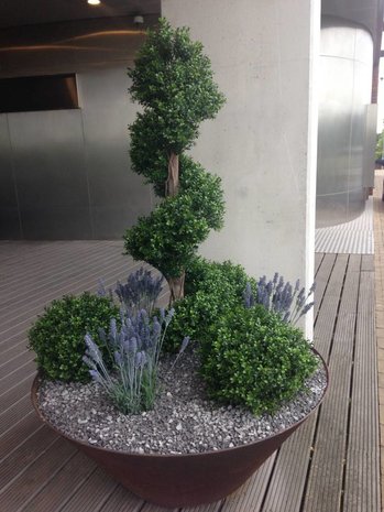 Hoge Kunststof buxus Spiraal boom 170 cm UV Hoge Kunststof buxus Spiraal boom 170 cm UV