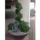 Artificial outdoor Boxwood Spiral tree 170 cm UV protection Artificial outdoor Boxwood Spiral tree 170 cm UV protection