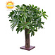 Schleffera kunstplant op ministam 50 cm UV voor buiten Schleffera kunstplant op ministam 50 cm UV voor buiten