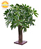 Schefflera kunstplant op ministam 50  UV Schefflera kunstplant op ministam 50  UV