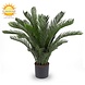 Outdoor Artificial Cycas Palm 80 cm UV protected Outdoor Artificial Cycas Palm 80 cm UV protected