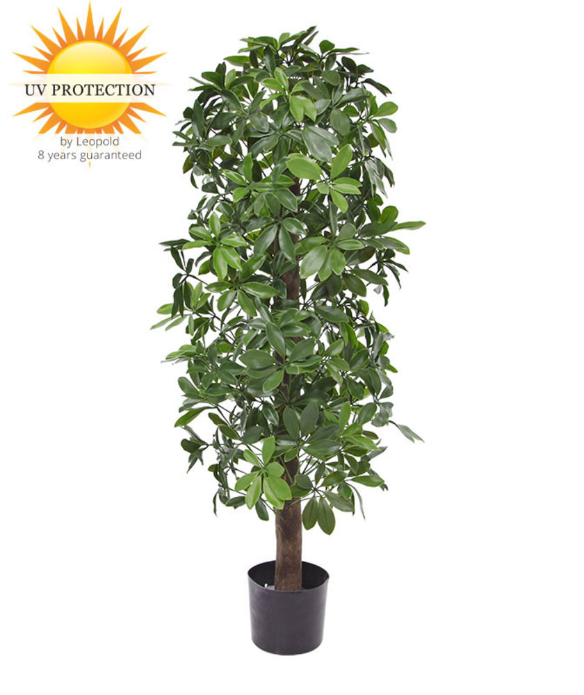 Kunstboom Schefflera kolom 120cm  UV voor buiten