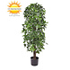Kunstboom Schefflera kolom 120cm UV voor buiten Kunstboom Schefflera kolom 120cm UV voor buiten