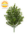 Artificial Boxwood bush 30 cm UV Artificial Boxwood bush 30 cm UV