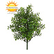 Artificial Eucalyptus bush 30 cm UV for outdoors Artificial Eucalyptus bush 30 cm UV for outdoors
