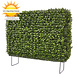 Artificial outdoor boxwood hedge on frame Artificial outdoor boxwood hedge on frame