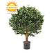 Artificial outdoor Ilex ball 55 cm UV with UV protection Artificial outdoor Ilex ball 55 cm UV with UV protection
