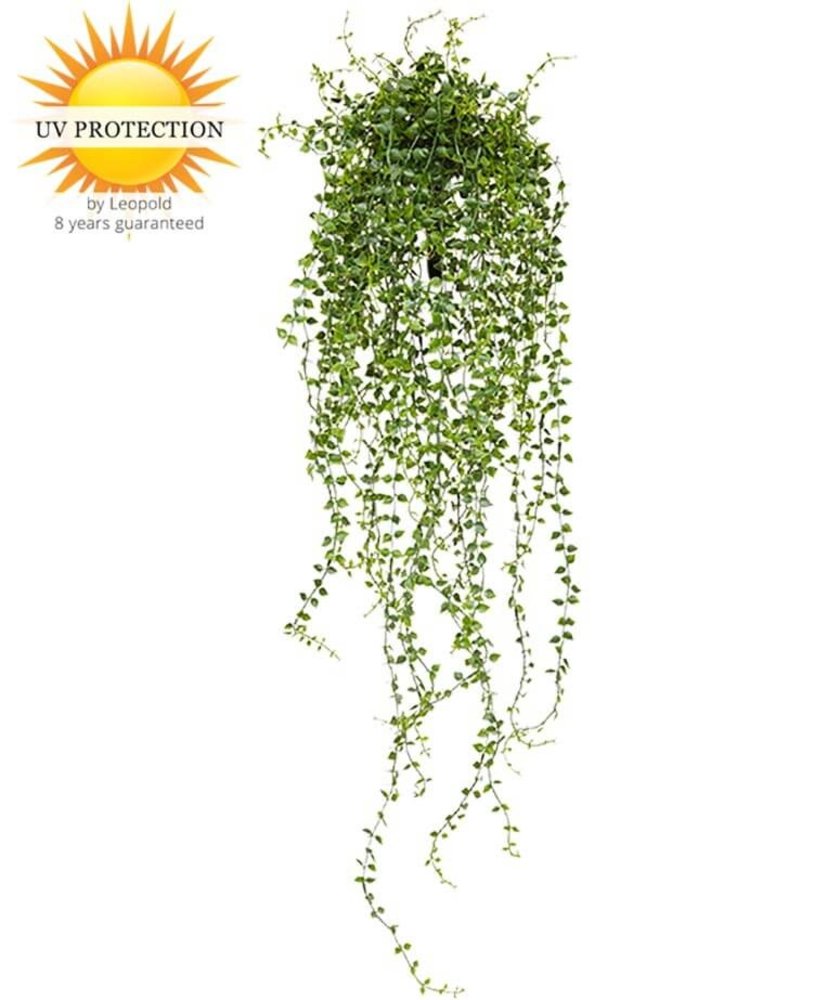 Callisia Repens kunsthangplant 70 cm uv Callisia Repens kunsthangplant 70 cm uv
