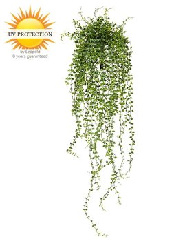 Callisia artificial hanging plant 70 cm UV Callisia artificial hanging plant 70 cm UV