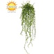 Callisia Repens kunsthangplant 70 cm uv Callisia Repens kunsthangplant 70 cm uv