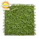 Artificial moss mat 50x50 cm UV for outdoors Artificial moss mat 50x50 cm UV for outdoors