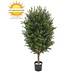 Outdoor Artificial bush Taxus 90 cm with UV protection Outdoor Artificial bush Taxus 90 cm with UV protection