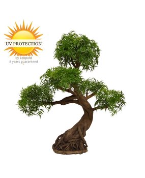 Kunstbonsai  Ming Aralia 90 cm UV Kunstbonsai  Ming Aralia 90 cm UV
