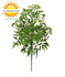Kunststof Ming Aralia tak 50 cm UV Kunststof Ming Aralia tak 50 cm UV