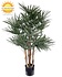 Raphis Palm 110cm UV Raphis Palm 110cm UV