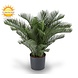 Artificial outdoor Cycas Palm 60 cm UV protected Artificial outdoor Cycas Palm 60 cm UV protected