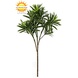 Outdoor artificial Podocarpus branch 55 cm UV protected Outdoor artificial Podocarpus branch 55 cm UV protected