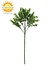 Artificial Boxwood branch 50 cm UV Artificial Boxwood branch 50 cm UV