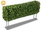 Lage kunst buxus heg 35x80 cm UV Lage kunst buxus heg 35x80 cm UV