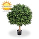 Artificial outdoor Deluxe Boxwood Ball 60 cm UV protected Artificial outdoor Deluxe Boxwood Ball 60 cm UV protected