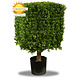 Outdoor Artificial Boxwood Cube 40 cm UV protected Outdoor Artificial Boxwood Cube 40 cm UV protected