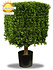 Artificial Boxwood Cube 40 cm UV