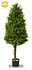 Artificial Boxwood pyramid tree 110 cm UV Artificial Boxwood pyramid tree 110 cm UV