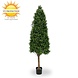 Hoge Kunst Buxus Pyramide 170 cm UV Hoge Kunst Buxus Pyramide 170 cm UV