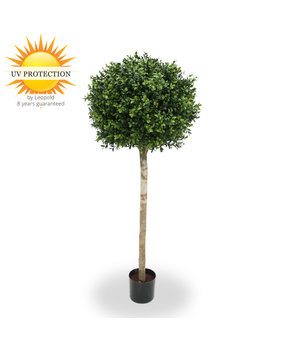 UV Buxus Bol op stam 110 cm UV Buxus Bol op stam 110 cm