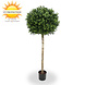 Artificial outdoor Boxwood ball on trunk 110 cm UV protected Artificial outdoor Boxwood ball on trunk 110 cm UV protected