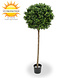 Artificial outdoor Boxwood ball on trunk 140 cm UV protected Artificial outdoor Boxwood ball on trunk 140 cm UV protected