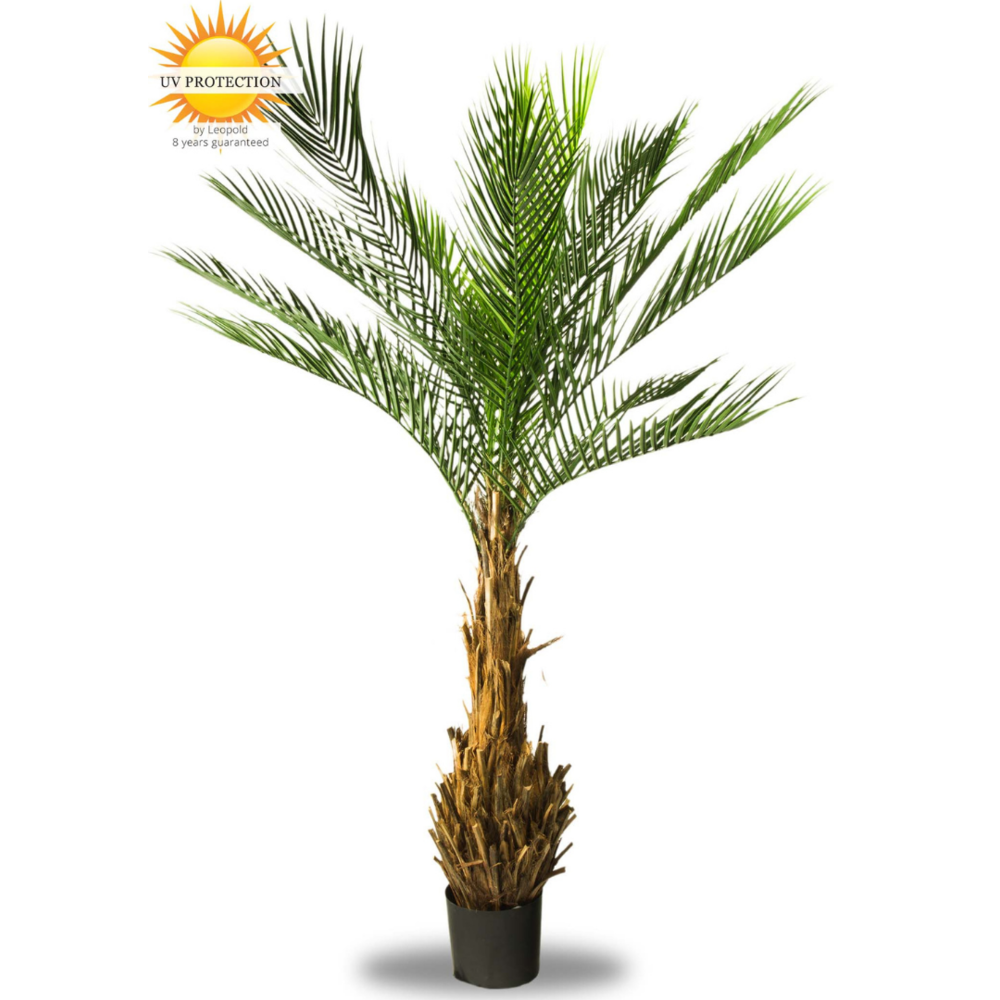 Artificial Palm tree for outdoors LeopoldFlora