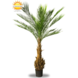 Artificial outdoor Phoenix palm tree170 cm UV protected Artificial outdoor Phoenix palm tree170 cm UV protected