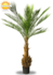 Artificial Phoenix palm 170 cm UV Artificial Phoenix palm 170 cm UV