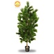 Outdoor Artificial Pinus tree 125 cm with UV protection Outdoor Artificial Pinus tree 125 cm with UV protection