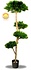 Grote Kunstboom Pinus Bonsai 180 UV Grote Kunstboom Pinus Bonsai 180 UV