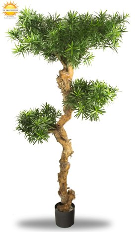 Mooie Kunstboom Podocarpus Bonsai 160 cm uv