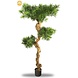 Outdoor Artificial Podocarpus Bonsai tree 160 cm UV protected Outdoor Artificial Podocarpus Bonsai tree 160 cm UV protected