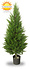 UV Kunst Conifeer 120 cm