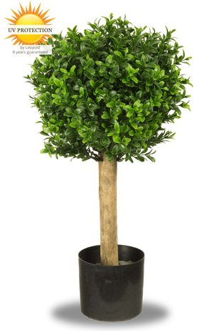 Kleine Kunst Buxus Bol 25 cm uv Kleine Kunst Buxus Bol 25 cm uv