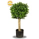 Outdoor artificial Boxwood ball on trunk 25 cm UV protected Outdoor artificial Boxwood ball on trunk 25 cm UV protected