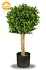 Kleine kunst buxus bol 25 cm UV Kleine kunst buxus bol 25 cm UV