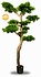 Artificial Pinus Bonsai tree 200 cm XL UV Artificial Pinus Bonsai tree 200 cm XL UV